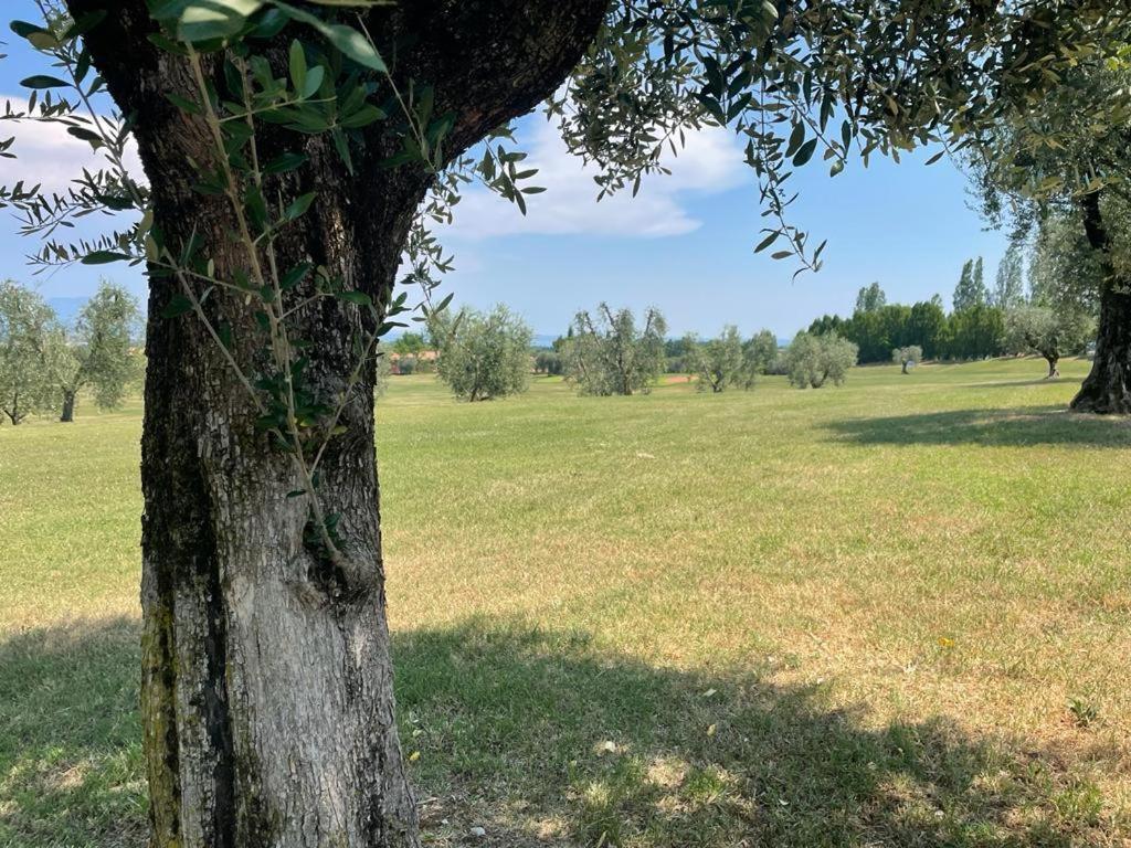 Garda Golf Country Chic Home Soiano Del Lago Dış mekan fotoğraf