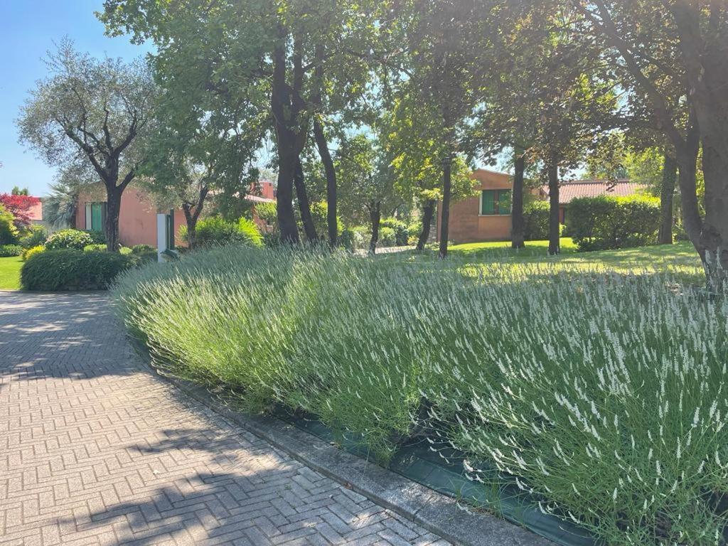 Garda Golf Country Chic Home Soiano Del Lago Dış mekan fotoğraf